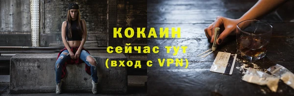 дмт Новозыбков