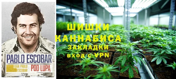 дмт Новозыбков