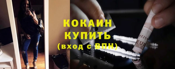 дживик Новодвинск