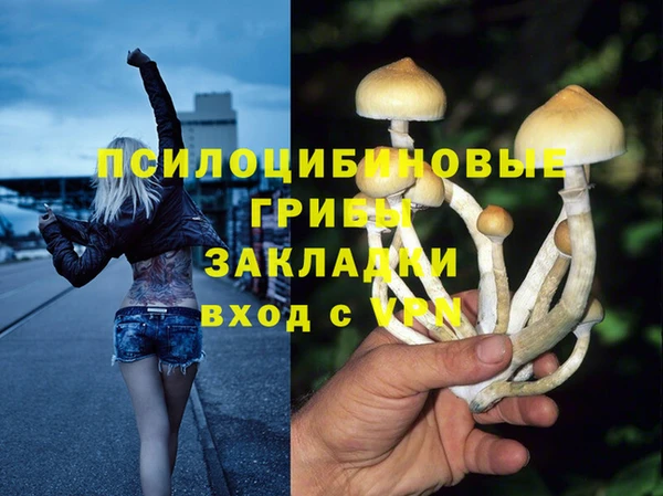 дмт Новозыбков