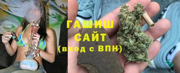 дмт Новозыбков