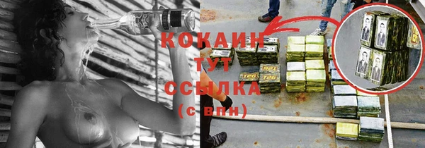 дмт Новозыбков