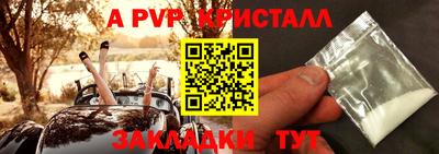 СК Камышлов