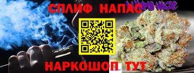 СК Канаш