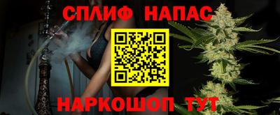 СК Камышлов