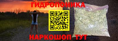 СК Канаш