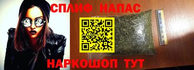 СК Канаш