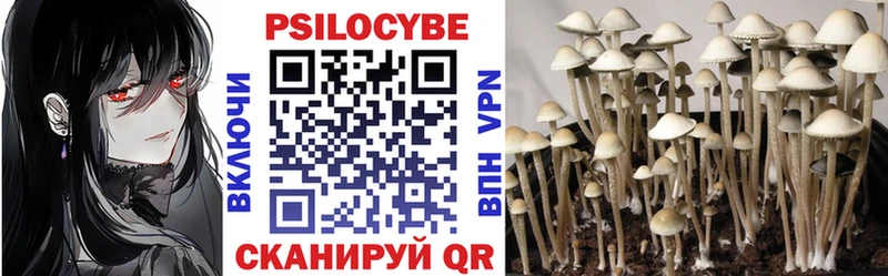 Галлюциногенные грибы Cubensis  Саки 