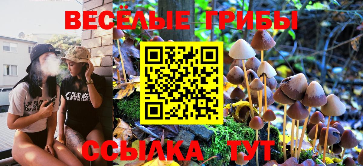 Галлюциногенные грибы Psilocybe Саки