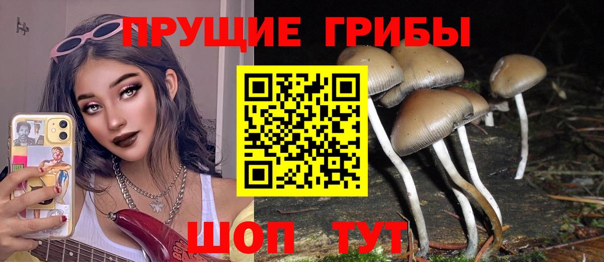 Псилоцибиновые грибы Psilocybine cubensis Саки