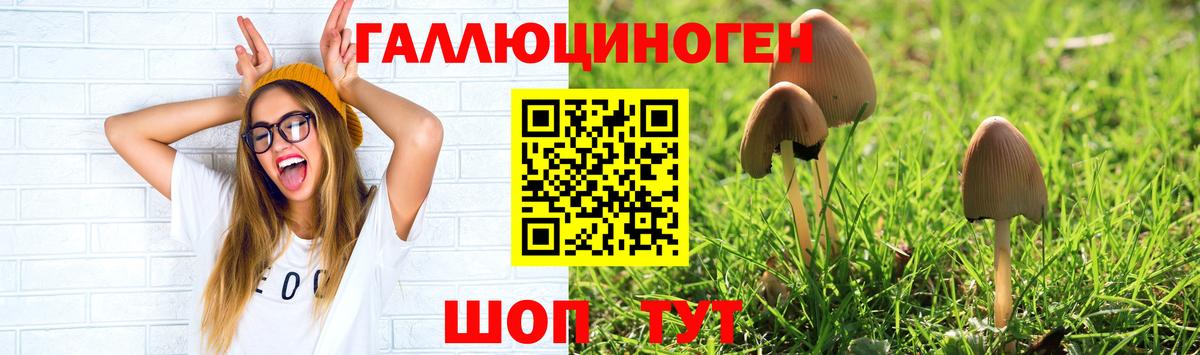 Галлюциногенные грибы мухоморы  Псилоцибиновые грибы Magic Shrooms  Саки  Вход с VPN 