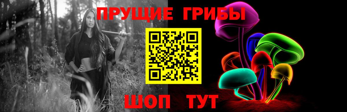 Галлюциногенные грибы Psilocybine cubensis  Саки  Галлюциногенные грибы Psilocybe 